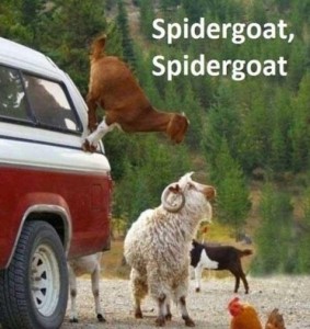Spider-Goat
